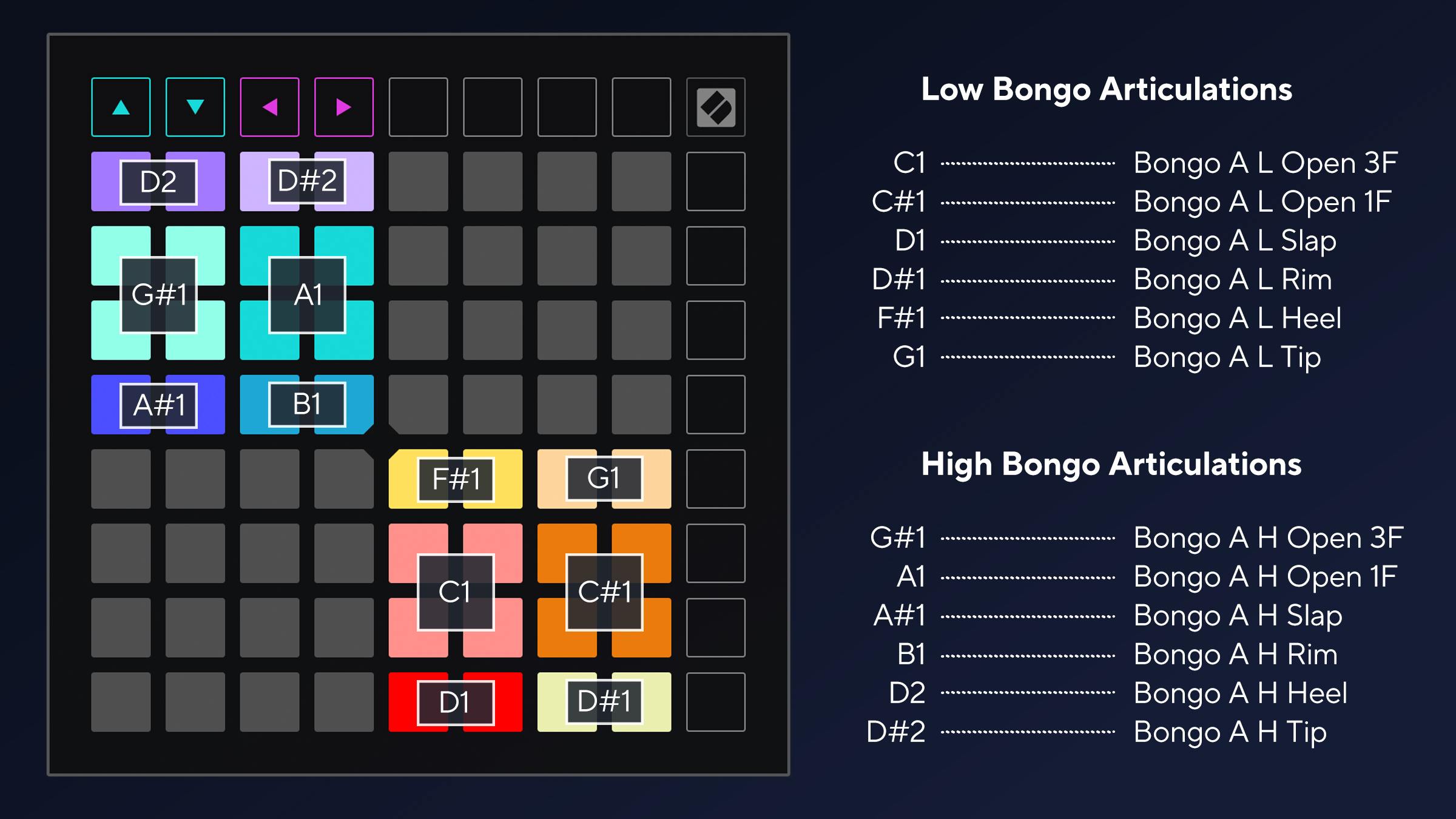 lp-bongo-articulations-copy.jpg